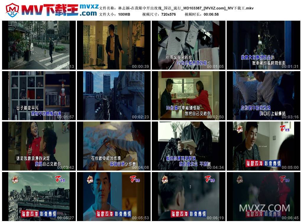 林志颖-在我眼中开出玫瑰_国语_流行_MD103387